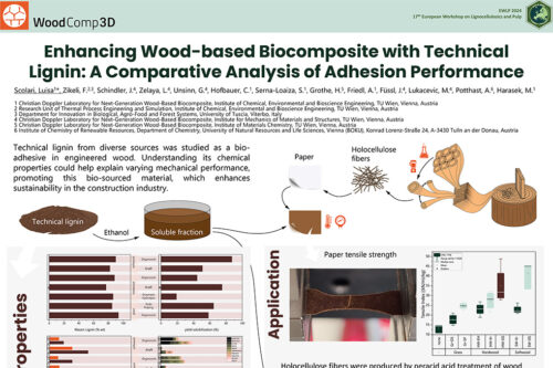 Screenshot of a scientific conference poster