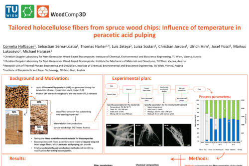 Screenshot of a scientific conference poster