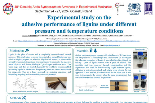 Screenshot of a scientific conference poster