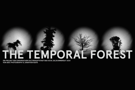 Schwarzer Hintergrund mit weißen Punkten, in denen jeweils ein Baum zu sehen ist. Schwarz/weiß-Bild. Schrift Mitte-unten: "THE TEMPORAL FOREST"