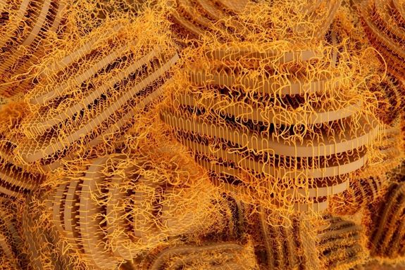 Microscopic polymer structures