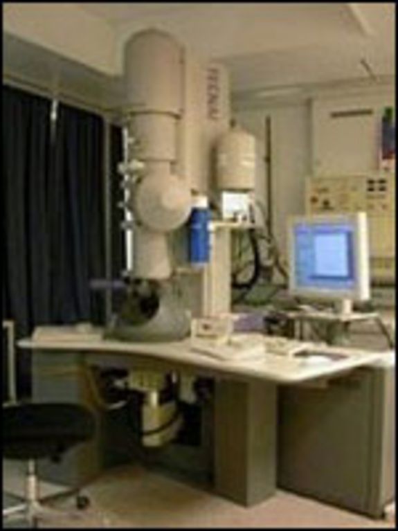 Distance between the towers: 90 µm