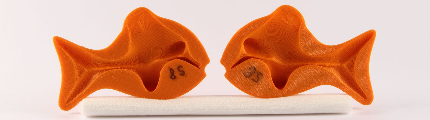 2 halves of a 3D printed fish