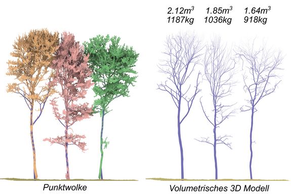 zwei Baummodelle: links in Form einer Punktwolke, rechts in Form eines 3D-Modells