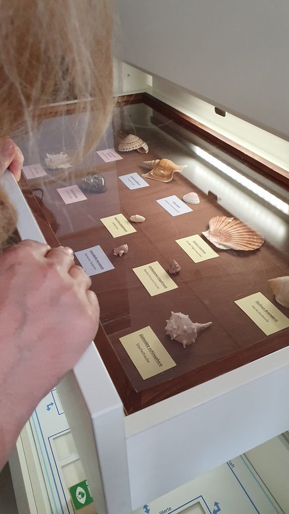 Teamwork and creative approaches