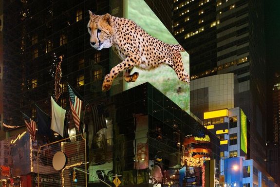 Times Square mit einer 3D Täuschung
