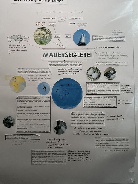 Finding a name for the "Mauerseglerei"
